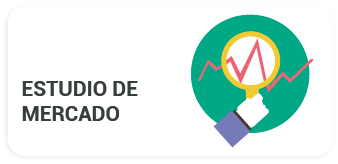 Estudio de Mercado - AFC